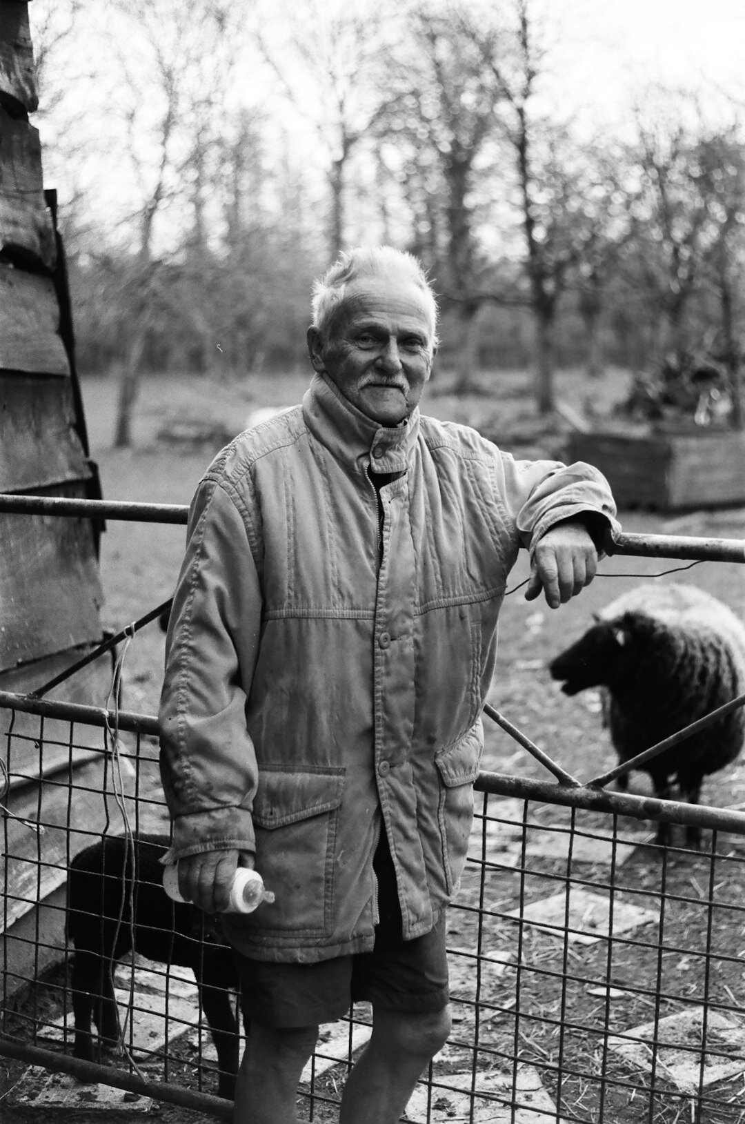 Portrait of a smiling elderly Croatian man