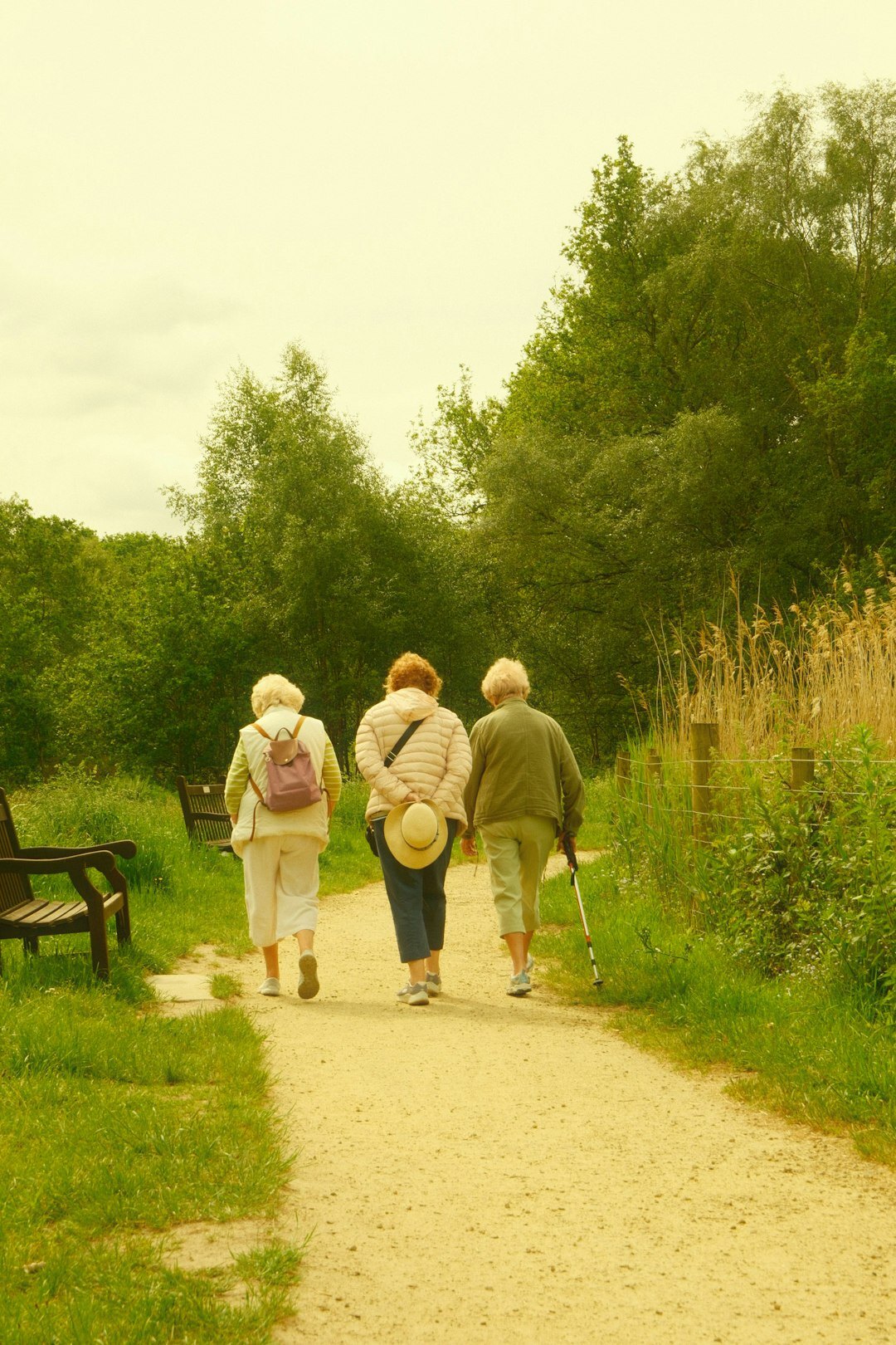 seniors walking in park