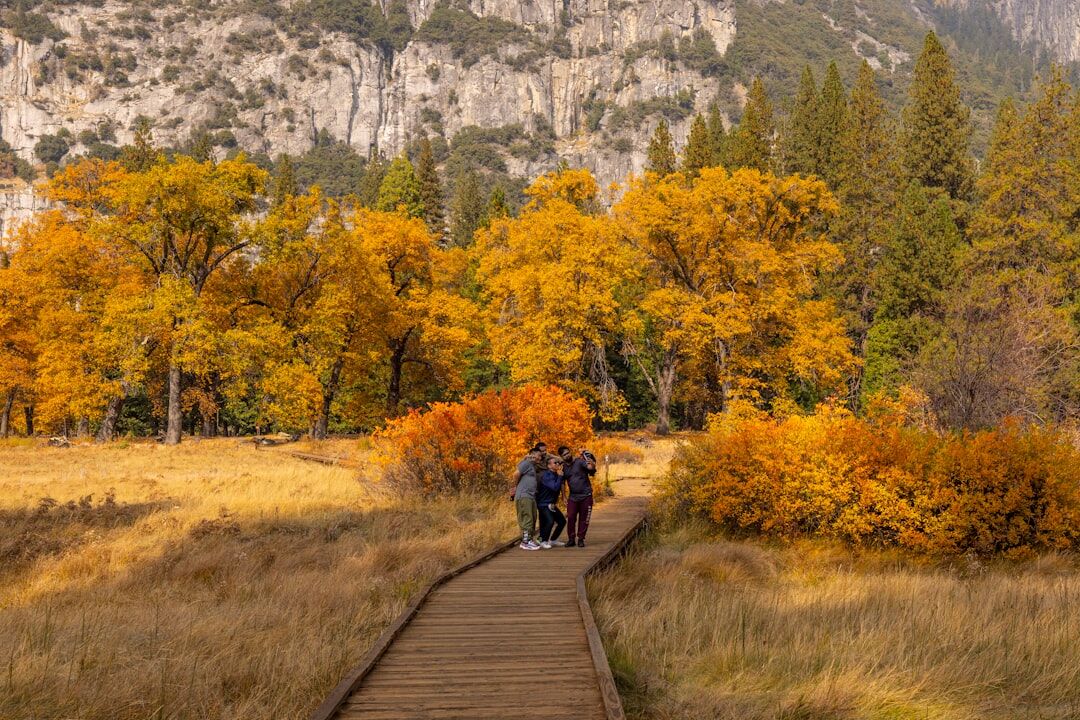 seniors hiking in park