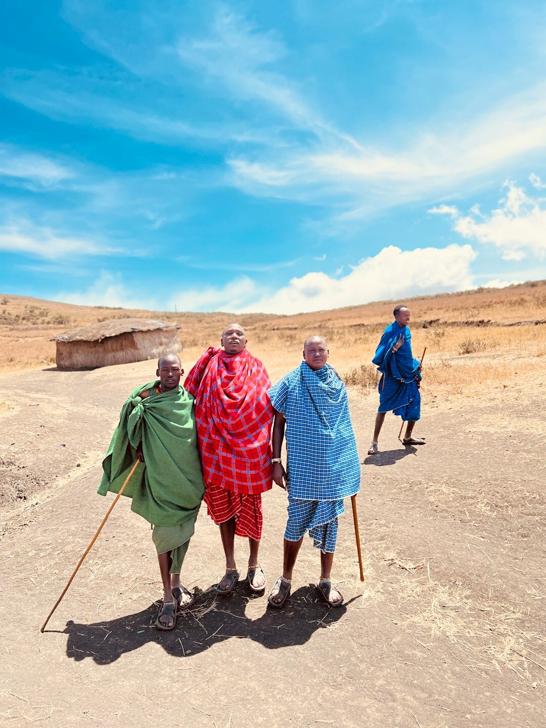 group of happy seniors outdoors